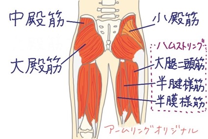 股関節伸展に作用する筋肉