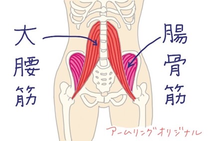 腸腰筋の概要
