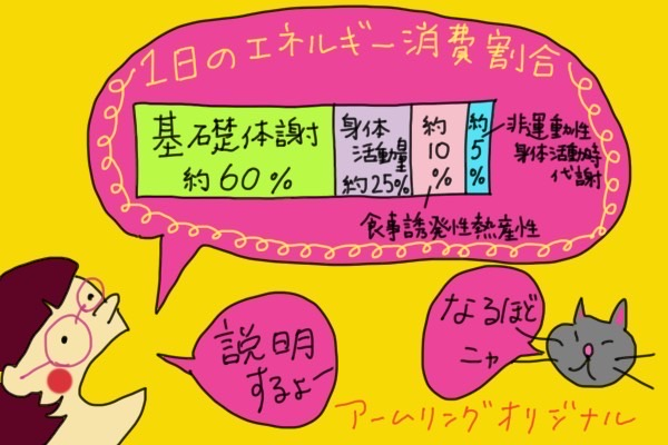 １日のエネルギー消費割合