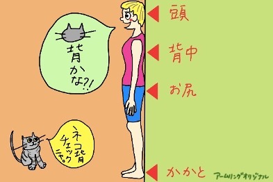 簡単にできるねこ背チェック法