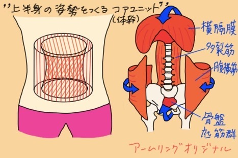 良い姿勢は骨格と筋肉が作っている